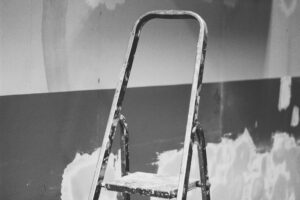 pexels-pawel-l-435199-1233338